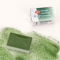 Краска акварельная, окись хрома, 704, кювета 2.5 мл, Белые Ночи