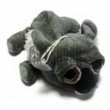 Мягкая игрушка "Коала с большими глазами" на присоске, K.K.toys