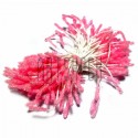 Тычинки для цветов (пестик) двусторонние, розовые, размер 10 мм., длина 6 см., REGINA