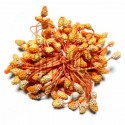 Тычинки для цветов (гроздь) двусторонние, оранжевые, размер Ø6 мм., длина 6 см., REGINA