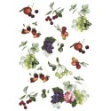 Рисовая карта для декупажа «Фрукты», 29.7 x 21 см, 20 г/м², ITD Collection