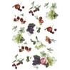 Рисовая карта для декупажа «Фрукты», 29.7 x 21 см, 20 г/м², ITD Collection