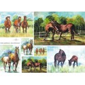 Рисовая карта для декупажа «Joanna Małoszczyk», 29.7 x 21 см, 20 г/м², ITD Collection