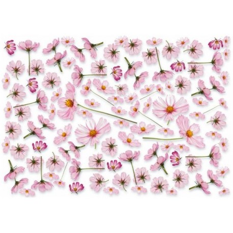 Рисовая карта для декупажа «Космея дваждыперистая», 29.7 x 21 см, 20 г/м², ITD Collection