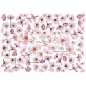 Рисовая карта для декупажа «Космея дваждыперистая», 29.7 x 21 см, 20 г/м², ITD Collection