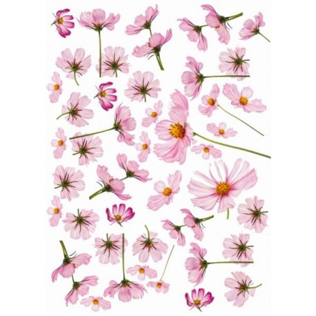 Рисовая карта для декупажа «Космея дваждыперистая», 29.7 x 21 см, 20 г/м², ITD Collection