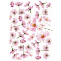 Рисовая карта для декупажа «Космея дваждыперистая», 29.7 x 21 см, 20 г/м², ITD Collection