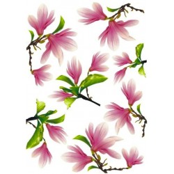 Рисовая карта для декупажа «Магнолия», 29.7 x 21 см, 20 г/м², ITD Collection