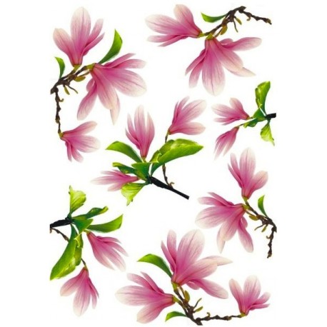Рисовая карта для декупажа «Магнолия», 29.7 x 21 см, 20 г/м², ITD Collection