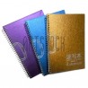 Блокнот - альбом (скетчбук) для эскизов на спирали SKETCH BOOK, 210 х 297 мм.