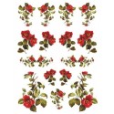 Рисовая карта для декупажа «Ветки камелий», 29.7 x 21 см, 20 г/м², ITD Collection