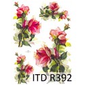 Рисовая карта для декупажа «Ветки роз с шипами», 29.7 x 21 см, 20 г/м², ITD Collection