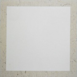 Рисовая бумага в паспарту на картоне, 33 x 32.7 см.