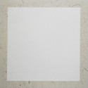 Рисовая бумага в паспарту на картоне, 33 x 32.7 см.