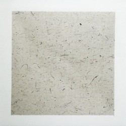 Рисовая бумага в паспарту на картоне, 33 x 32.7 см.