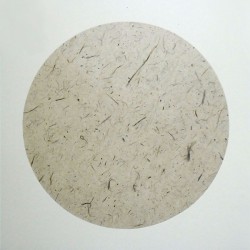 Рисовая бумага в паспарту на картоне, 33 x 32.7 см.